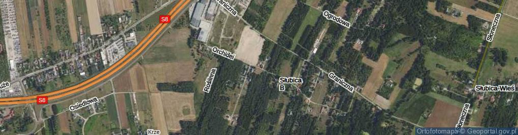 Zdjęcie satelitarne Orchidei ul.